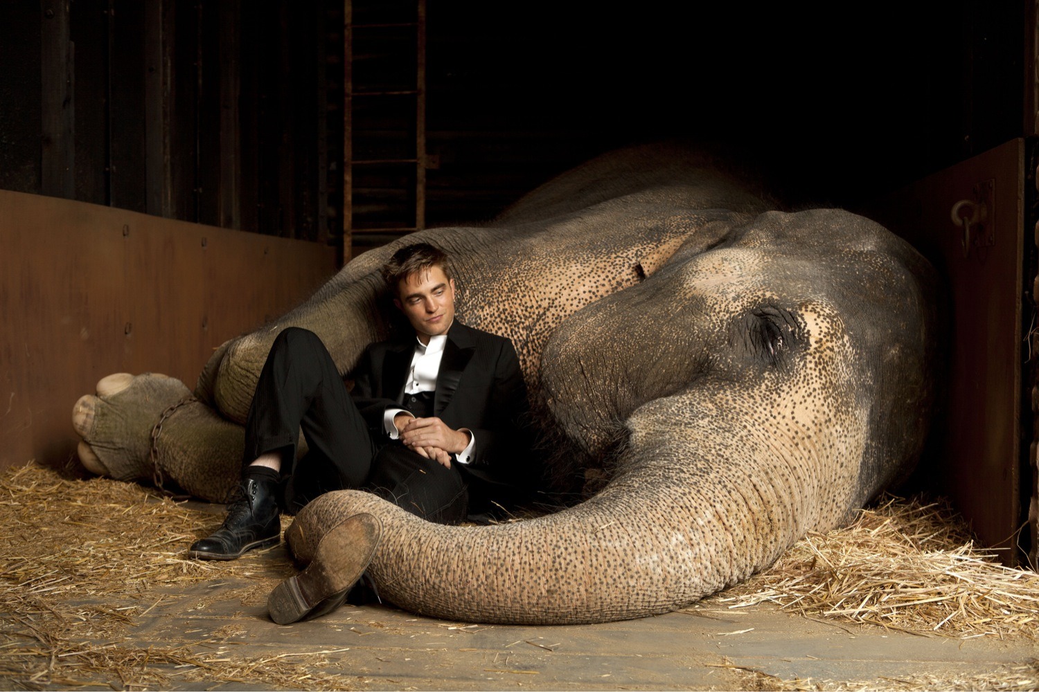 Rob with elephant