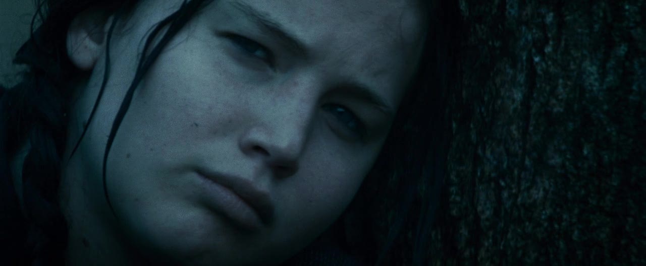 The Hunger Games 2012 720p BluRay X264-BLOW [PublicHD] preview 5