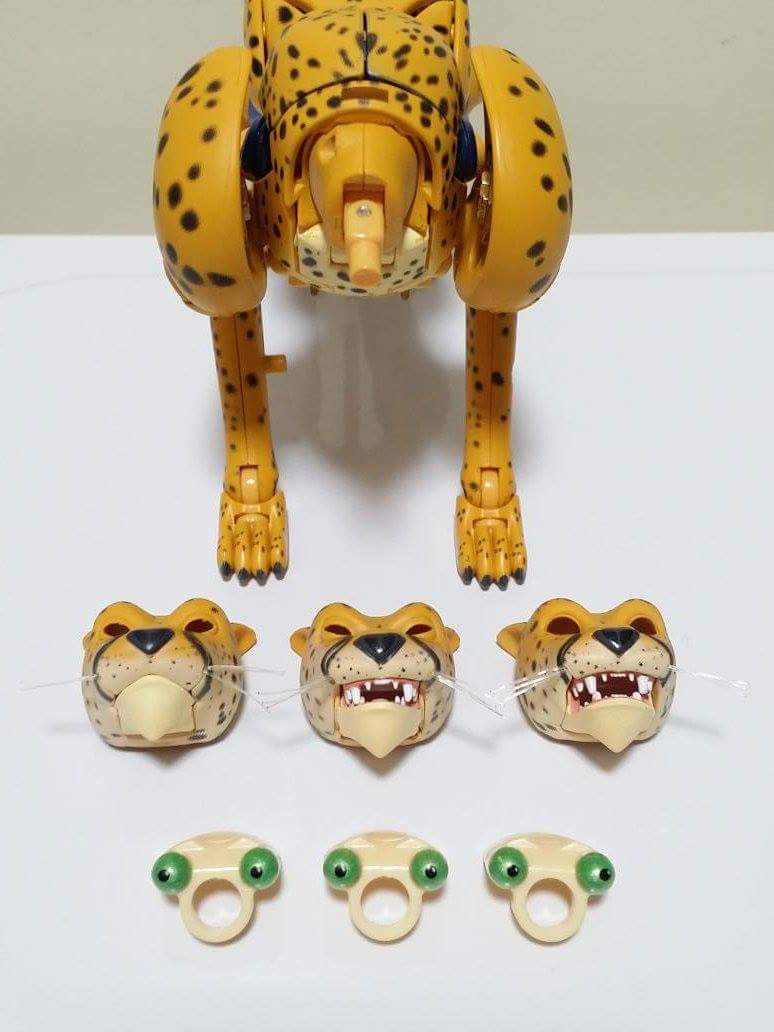 [Masterpiece] MP-34 Cheetor/Vélocitor et MP-34S Shadow Panther (Beast Wars) - Page 2 4AviPil5