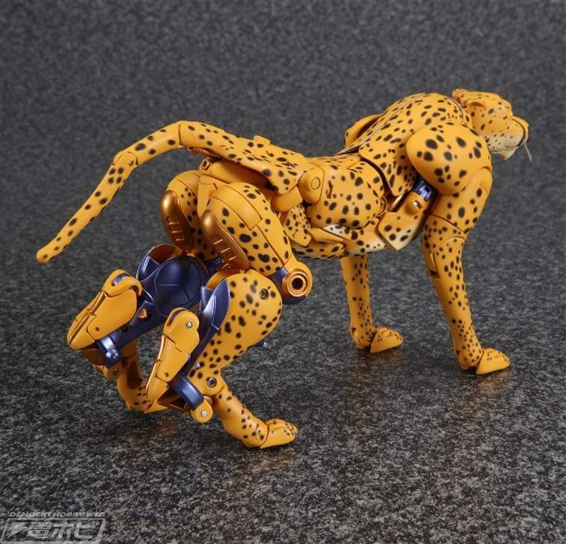 [Masterpiece] MP-34 Cheetor/Vélocitor et MP-34S Shadow Panther (Beast Wars) - Page 2 EUbMisIE
