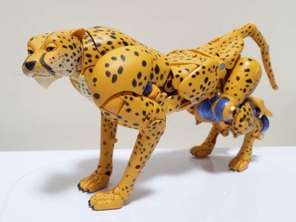 [Masterpiece] MP-34 Cheetor/Vélocitor et MP-34S Shadow Panther (Beast Wars) - Page 2 GidHOiLb