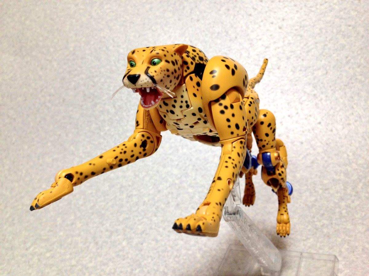 [Masterpiece] MP-34 Cheetor/Vélocitor et MP-34S Shadow Panther (Beast Wars) - Page 2 Wc4dpKgH